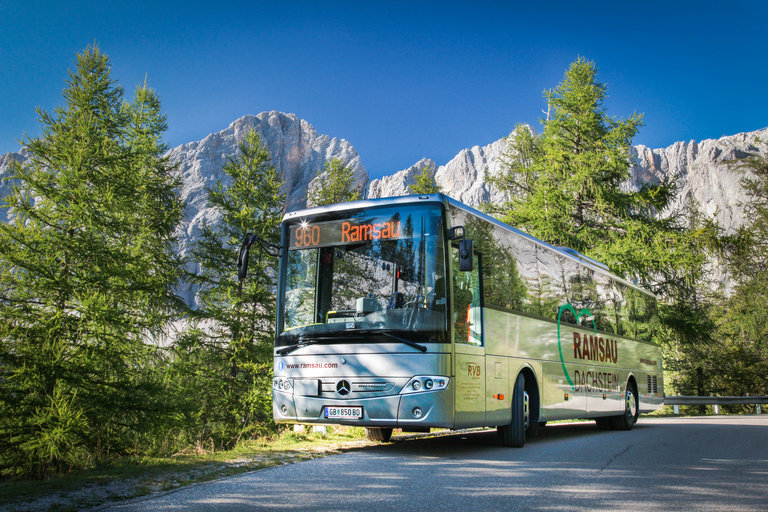 RVB Bus auf der Dachsteinstraße. | © René Eduard Perhab