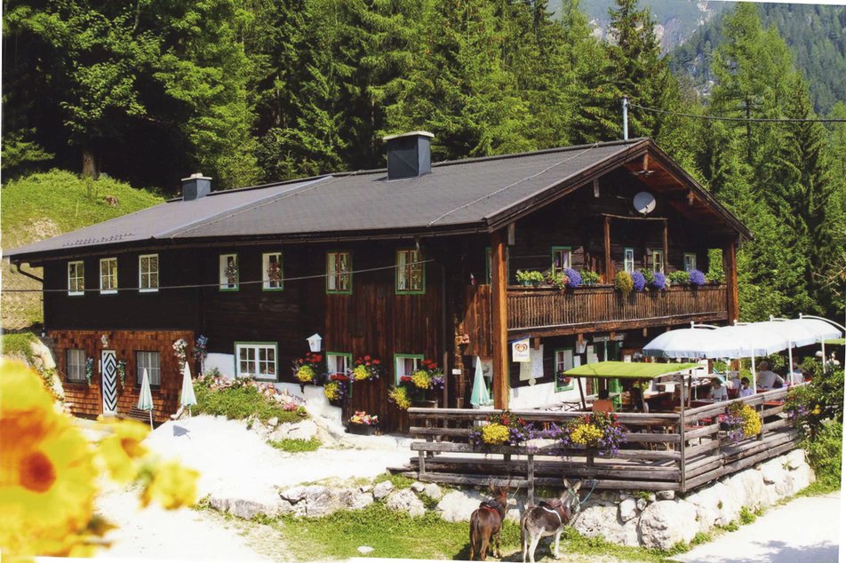 Fliegenpilz Restaurant - Imprese #1 | © Fliegenpilz