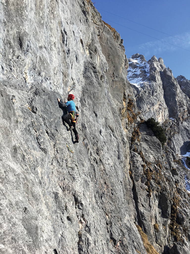 Zughalswand Climbing Garden - Impression #2.1