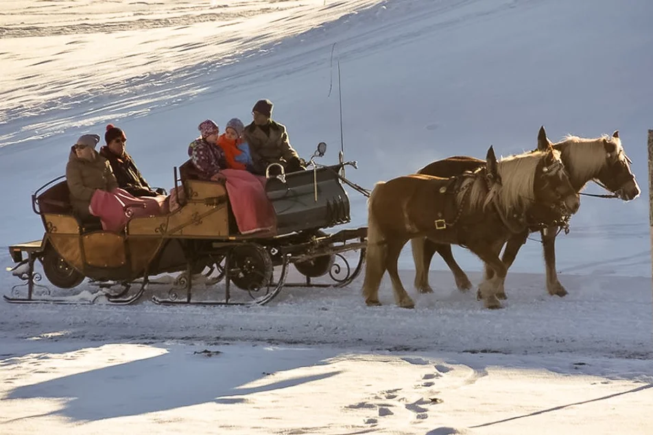 Horse Drawn Sleigh Rides Brandstätter - Imprese #1 | © Reiterhof Brandstätter