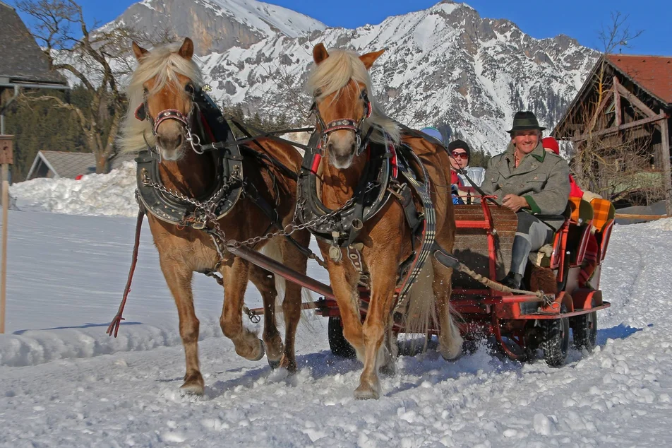 Pferdeschlittenfahrten Sporthof Austria - Impression #1 | © Sporthof Austria