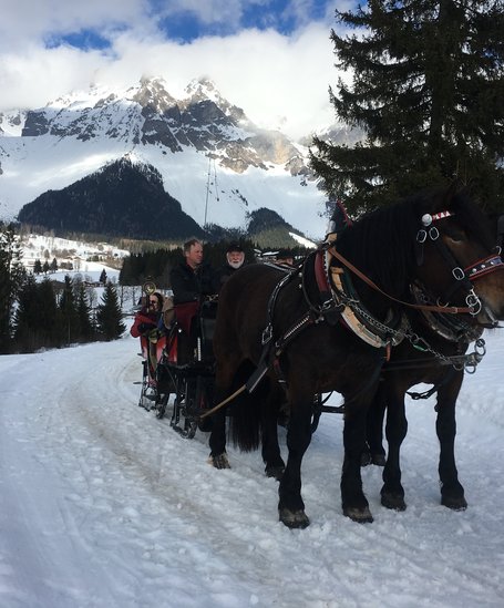 Horse sleigh ride at Vorberghof | © Vorberghof