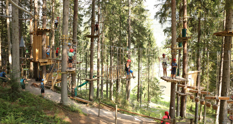 Blick in den Waldhochseilgarten. | © Hans-Peter Steiner