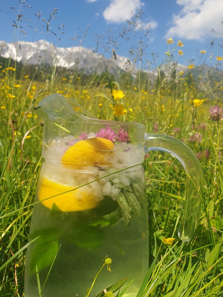 Verena Novak - Natur Elfe - Impression #2.12