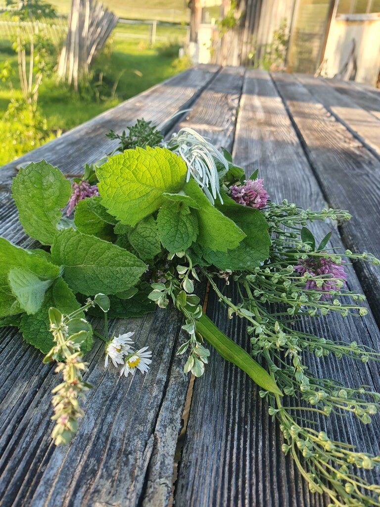 Verena Novak - Natur Elfe - Impression #2.14