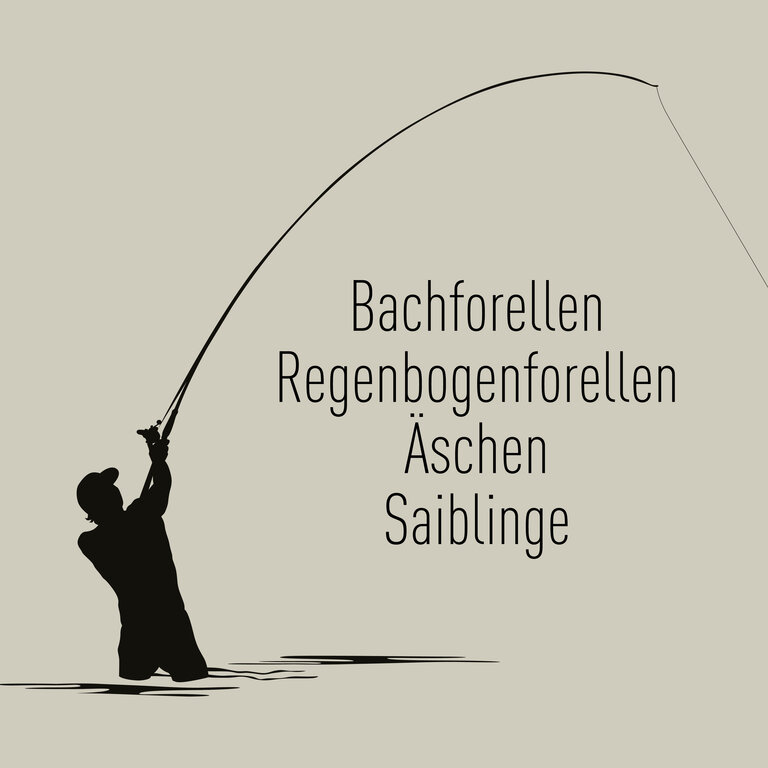The [ FISCHwOsser ] at the ENNSquelle - Impression #2.2