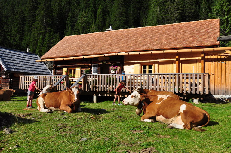 Berallerhütte - Kotalm - Impression #2.3