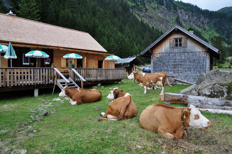 Berallerhütte - Kotalm - Impression #2.2 | © Berallerhütte-Kotalm