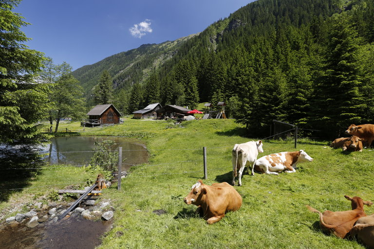 Eschachalm - Impression #2.1 | © Herbert Raffalt