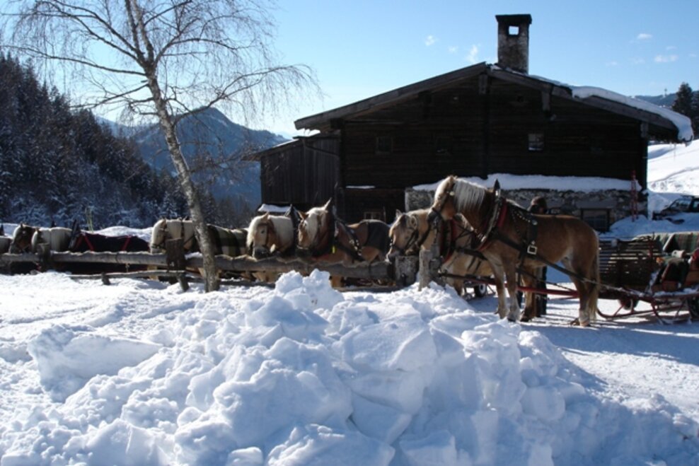 Halseralm - Impression #1.2