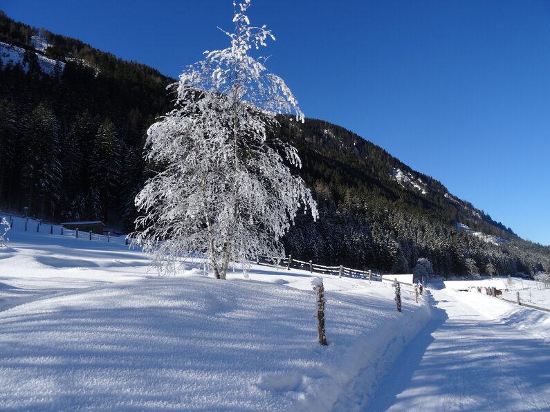 © Sondl-Alm