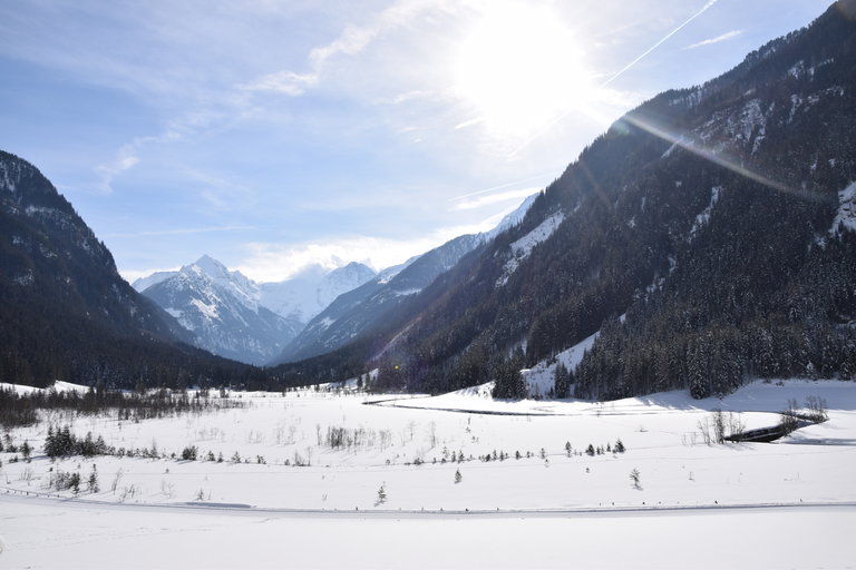 Sondl-Alm - Impression #2.5 | © Sondl-Alm