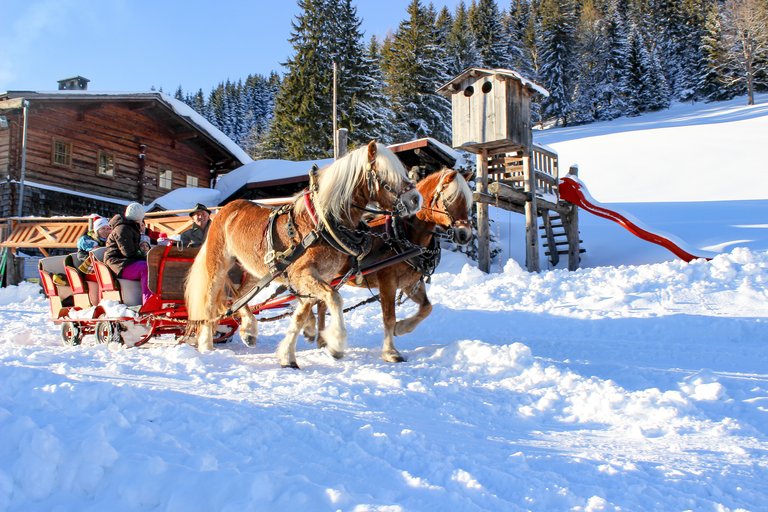 Snowtubing - Rösteralm - Impression #2.17 | © Walcher, Stoanerhof