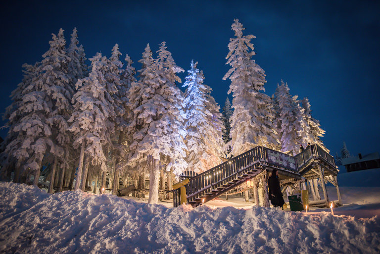 Schafalm - Imprese #2.9 | © Christoph Huber