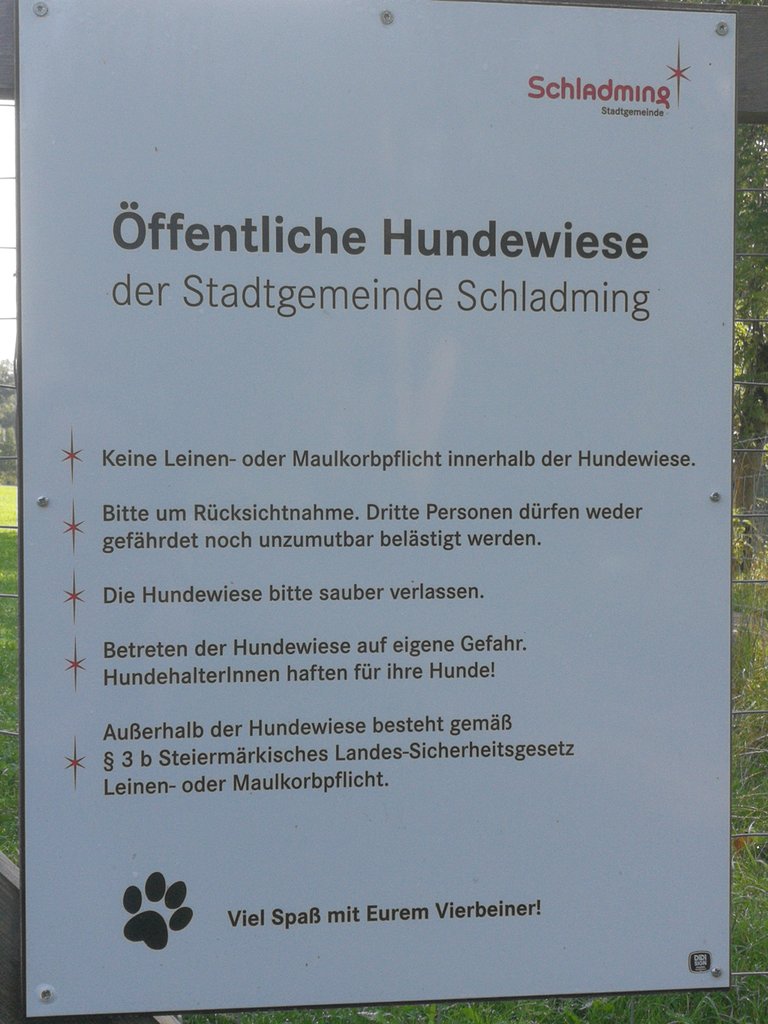 Field for dog-walking - Imprese #2.2