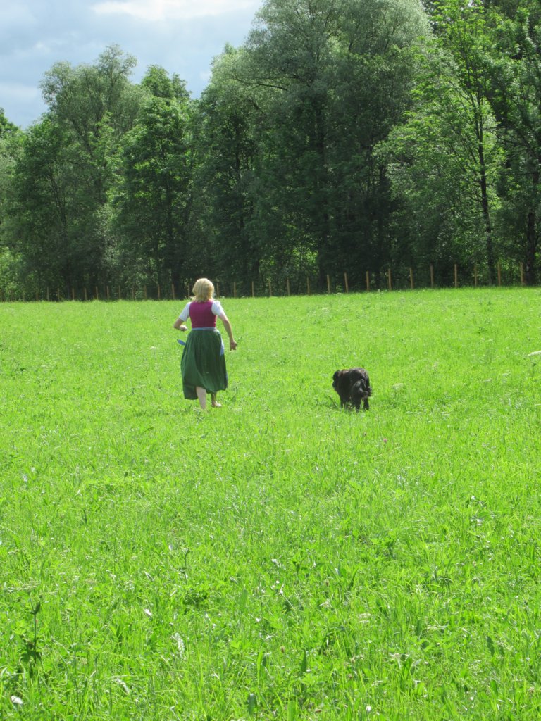 Field for dog-walking - Impression #2.1 | © Stadtgemeinde Schladming