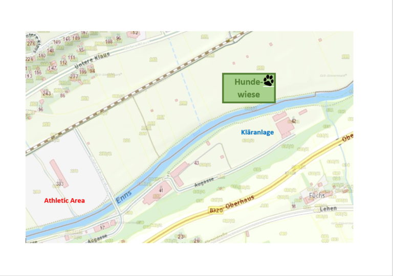 Field for dog-walking - Imprese #2.3