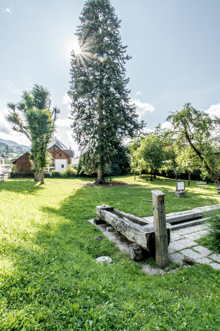 Ruhe genießen im Deublerpark | © Gerhard Pilz