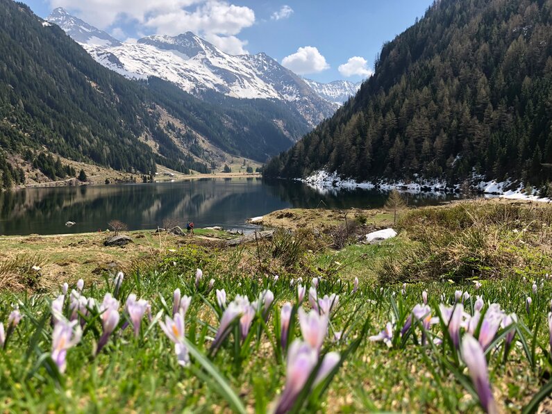 Riesachsee (2018) | © Katrin Hutegger