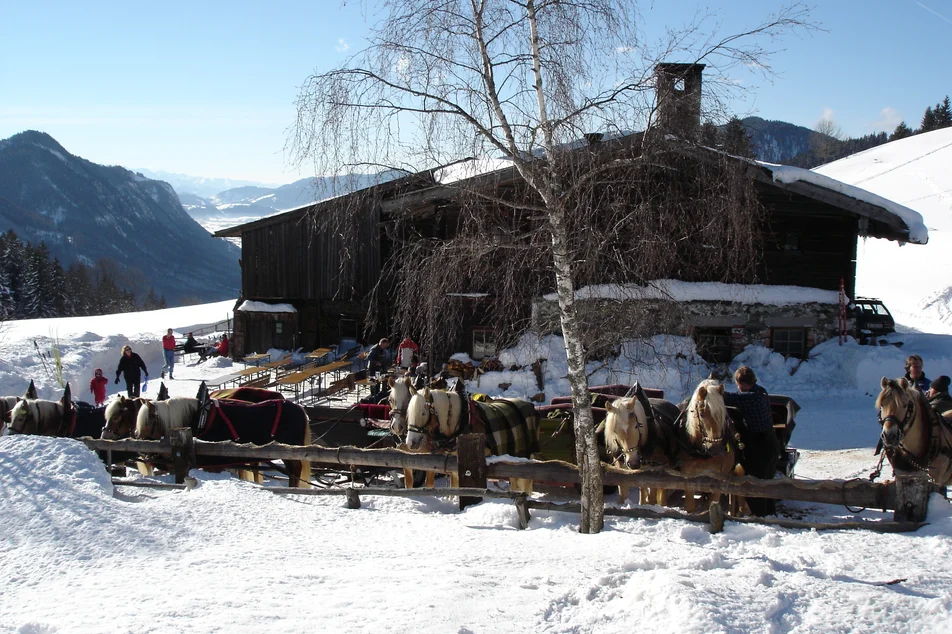 Pitzer vlg. Oberhorner - Impression #1 | © Tourismusverband Schladming