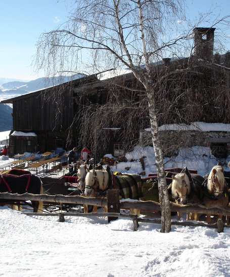 Horse sleighs at Halseralm | © Tourismusverband Schladming