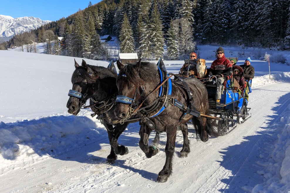 Angererhof - Fam. Hutegger - Impression #1.1 | © Martin Huber