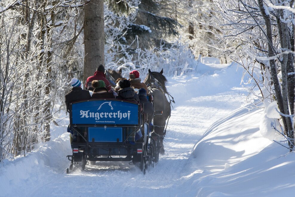 Angererhof - Fam. Hutegger - Impression #1.2 | © Martin Huber