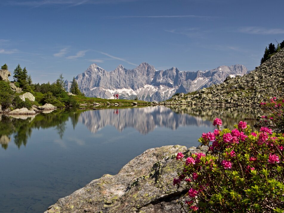 Hiking bus Ramsau-Pichl-Reiteralm - Impression #1 | © Schladming Dachstein/Herbert Raffalt