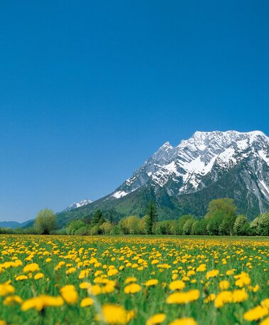 © Schladming Dachstein/Steiermark Tourismus/bigshot.at