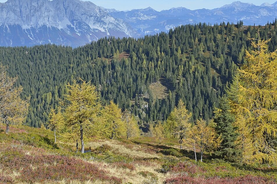 Geologischer Wanderweg 15-24 - Impression #1 | © (c) Herfried Marek/Erlebnisregion Schladming-Dachstein