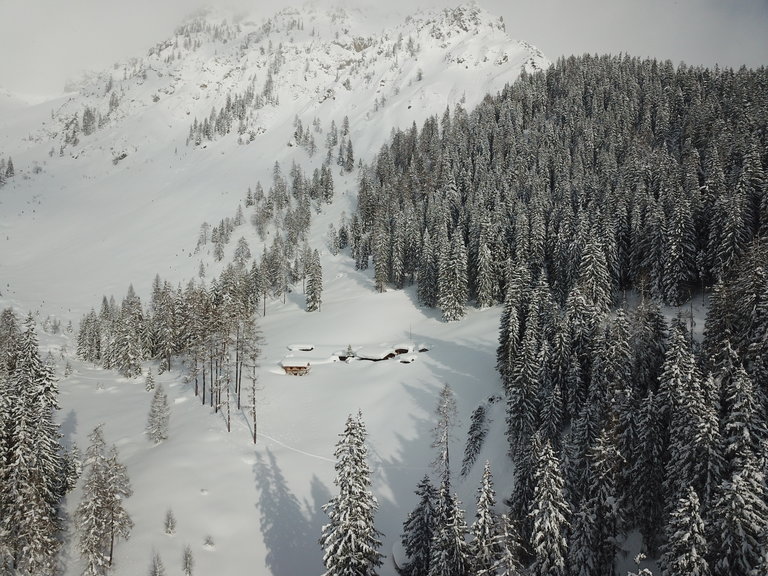 Lärchbodenalm - Imprese #2.22 | © ©KajetanGerharter 
