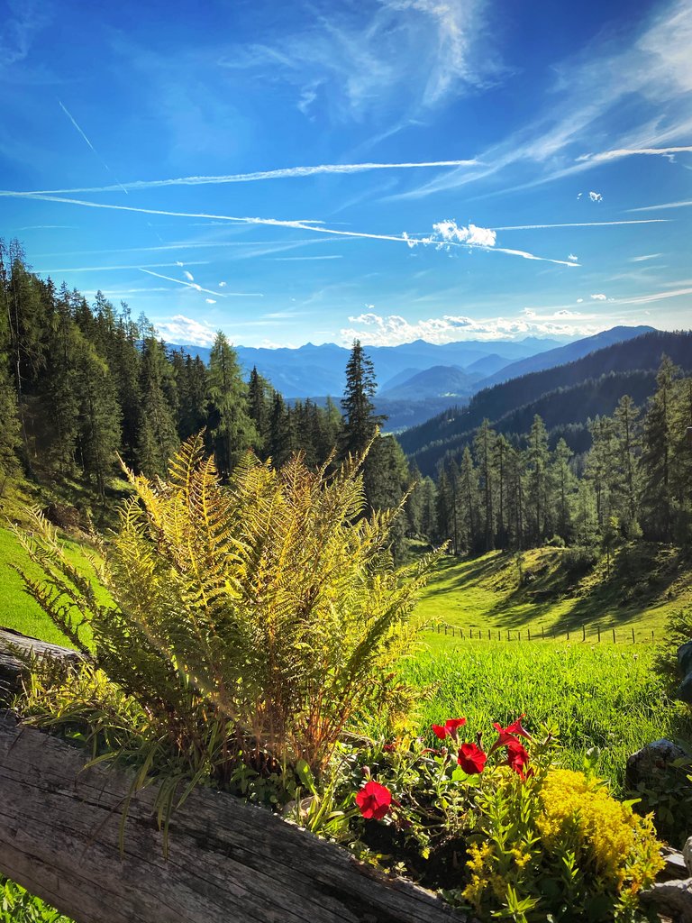 Lärchbodenalm - Imprese #2.14 | © ©KajetanGerharter 