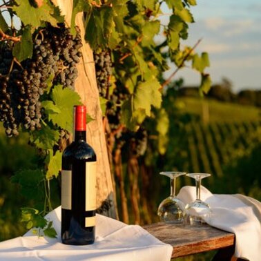 Weinabend  | © Häuserl im Wald
