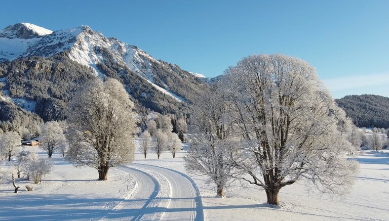 Cross-Country Ski School Hotel Annelies  - Imprese #2.5 | © Langlaufschule Hotel Annelies in Ramsau am Dachstein