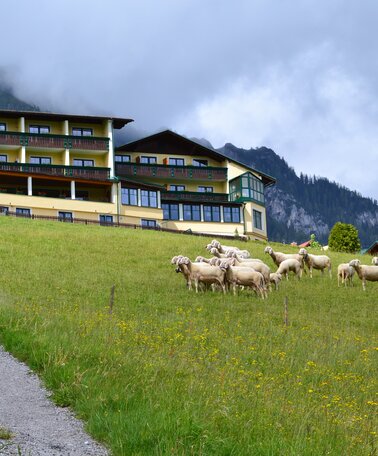 © Hotel Martin