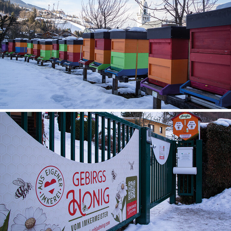 Master beekeeper  - Imprese #2.4 | © Gebirgsimkerei Schladming Johann Lettner