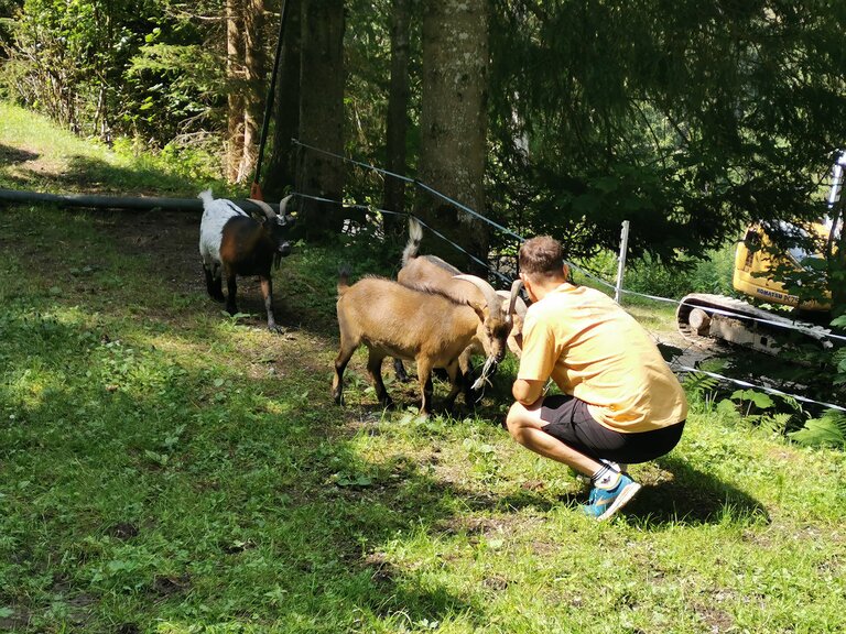 Goat hike - Impression #2.4