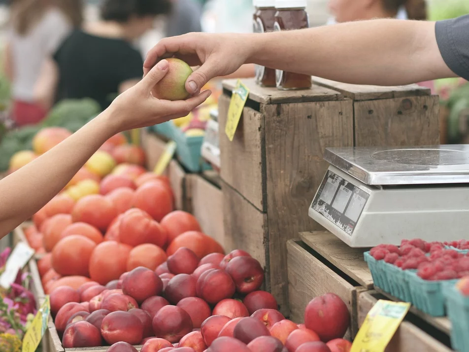 Farmers' market in Irdning - Imprese #1