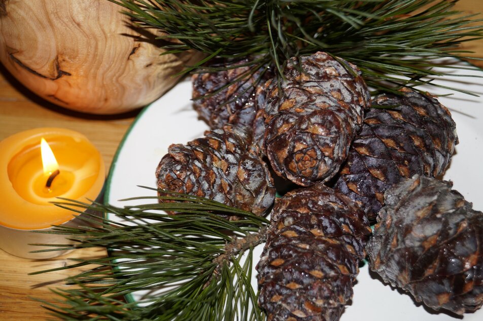 enjoy day "pine" - Impression #1