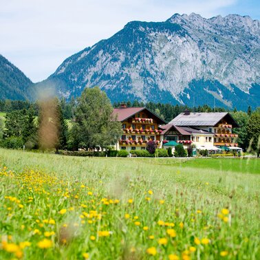 Seminar- und Landhotel Häuserl im Wald | © Häuserl im Wald