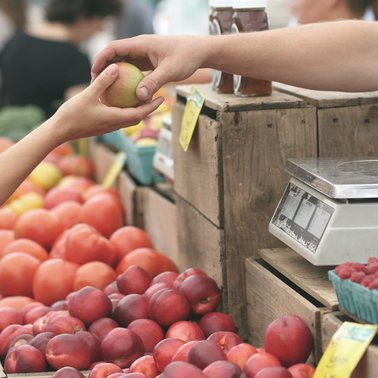Bauernmarkt Schlossplatz | © Symbolfoto
