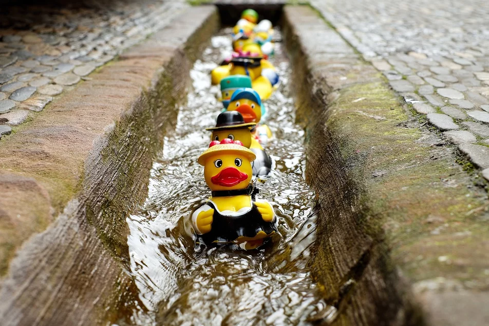 Familyday with duck race - Imprese #1
