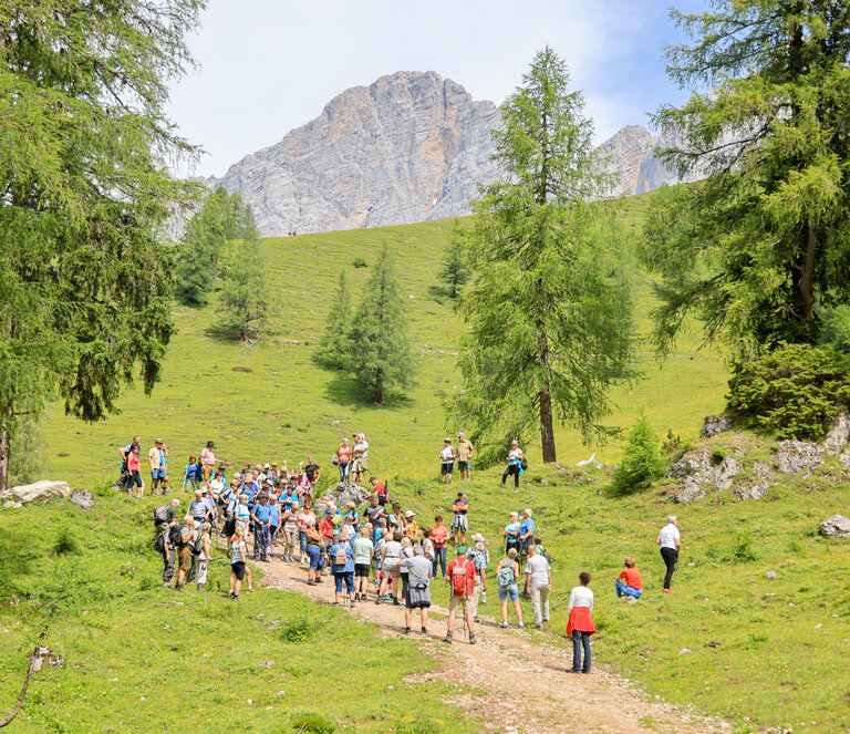 ORF Radion Steiermark Gipfeltreffen & Ramsauer Almtag  - Impression #2.3 | © Michael Simonlehner
