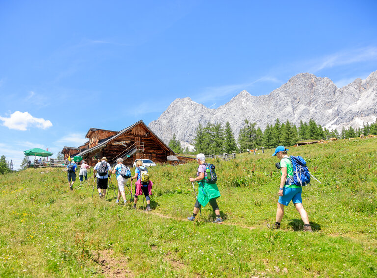 ORF Radion Steiermark Gipfeltreffen & Ramsauer Almtag  - Impression #2.9 | © Michael Simonlehner