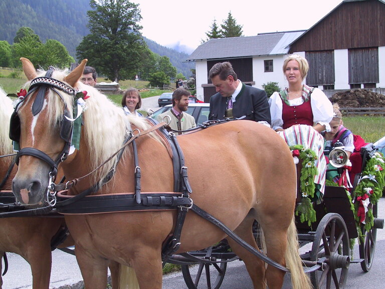 Frühlingsfest der Pferde | © TVB 