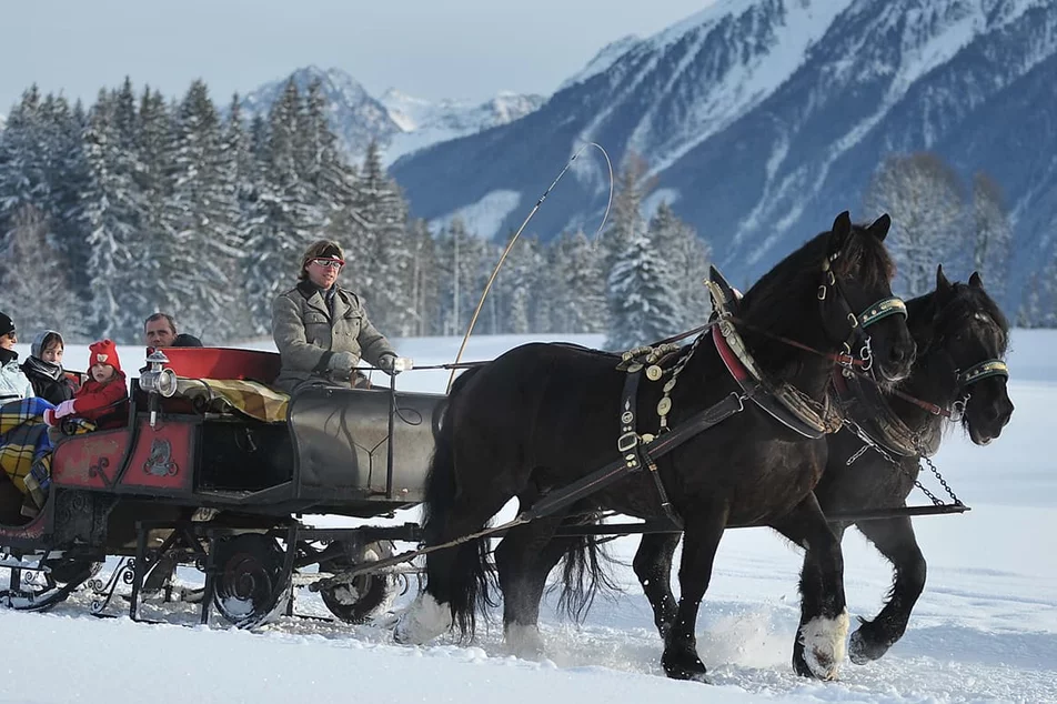 Horse-drawn sleigh and carriage rides Zechmannhof - Imprese #1