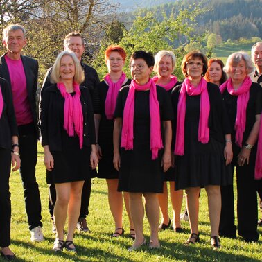 Gruppenfoto  | © Singkreis Stainach 