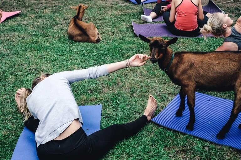 Goat hike - Impression #2.2 | © Sandra Glaser