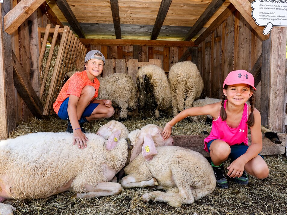 Petting zoo - Imprese #1