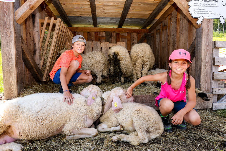 Petting zoo - Imprese #2.8